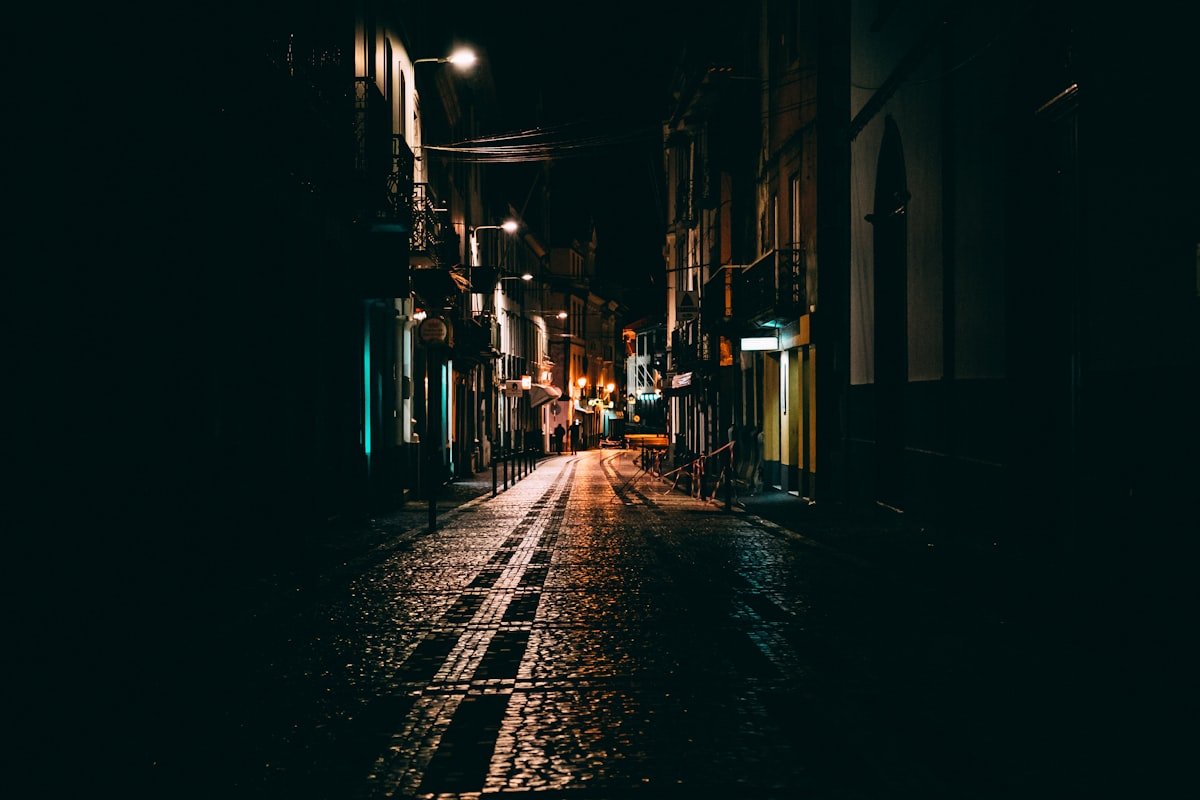 Best Dark Fantasy Books to Read in 2026: Grimdark to Gothic 4 Silhouette photography of a dark, moody city street at night