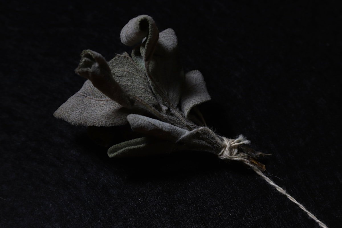 Best Dark Fantasy Books to Read in 2026: Grimdark to Gothic 6 Dried sage bundle tied with twine on a dark background, an apothecary scene
